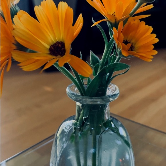 Meet your Posher, Robin - Picture 1 of 1